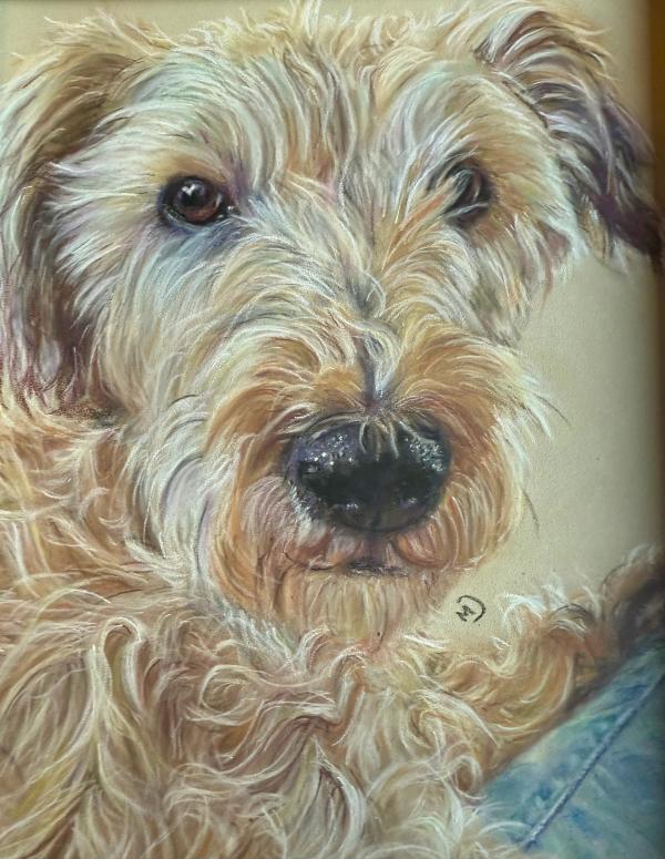 snoot - Pastel Portrait
