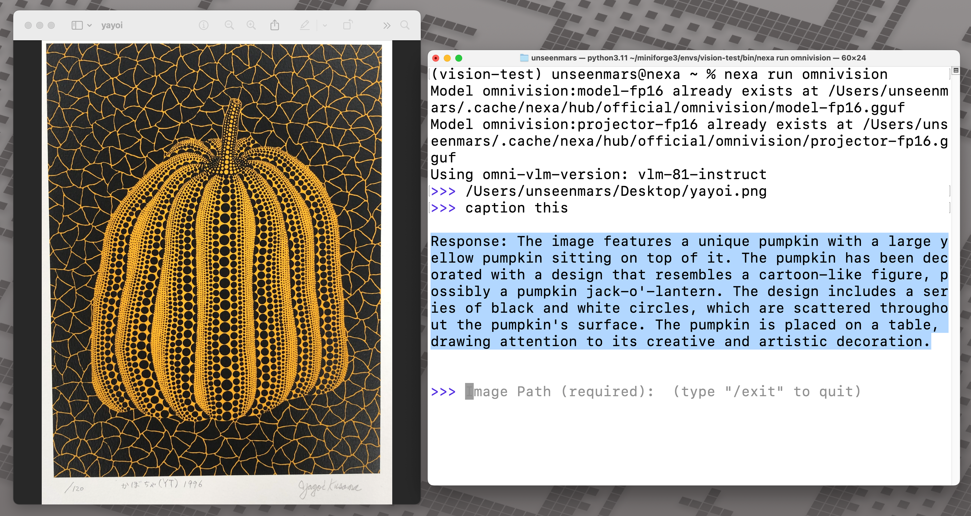 OmniVision generated description for an abstract art piece by Yayoi Kusama