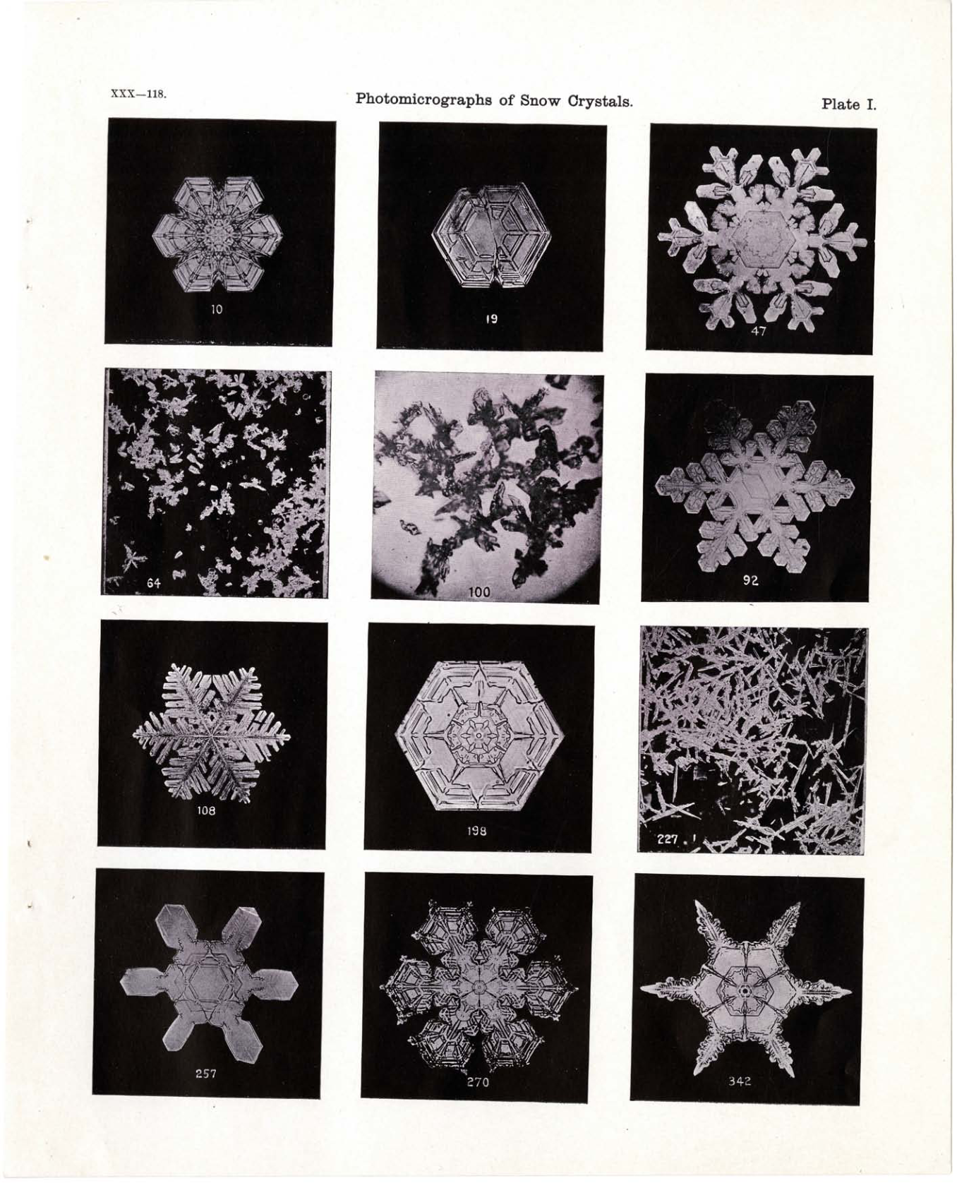 Twelve numbered snow-crystal photographs on a published plate, including branched forms, compact plates and irregular clusters.