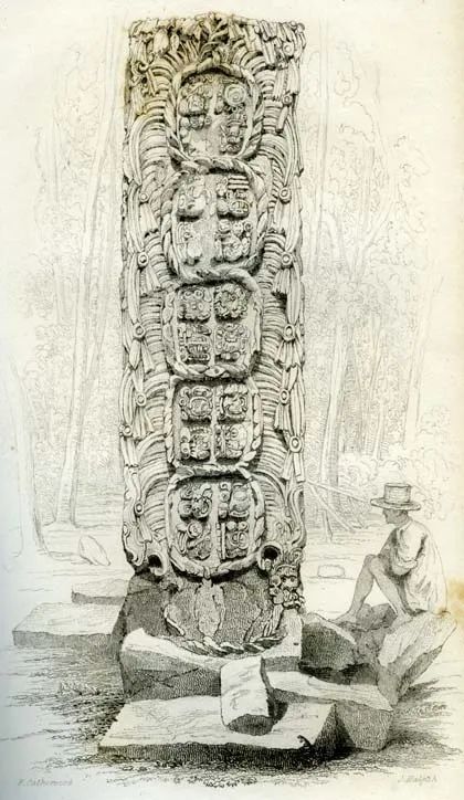 The 1841 engraving after Catherwood recording the glyph-covered back of Copán Stela F