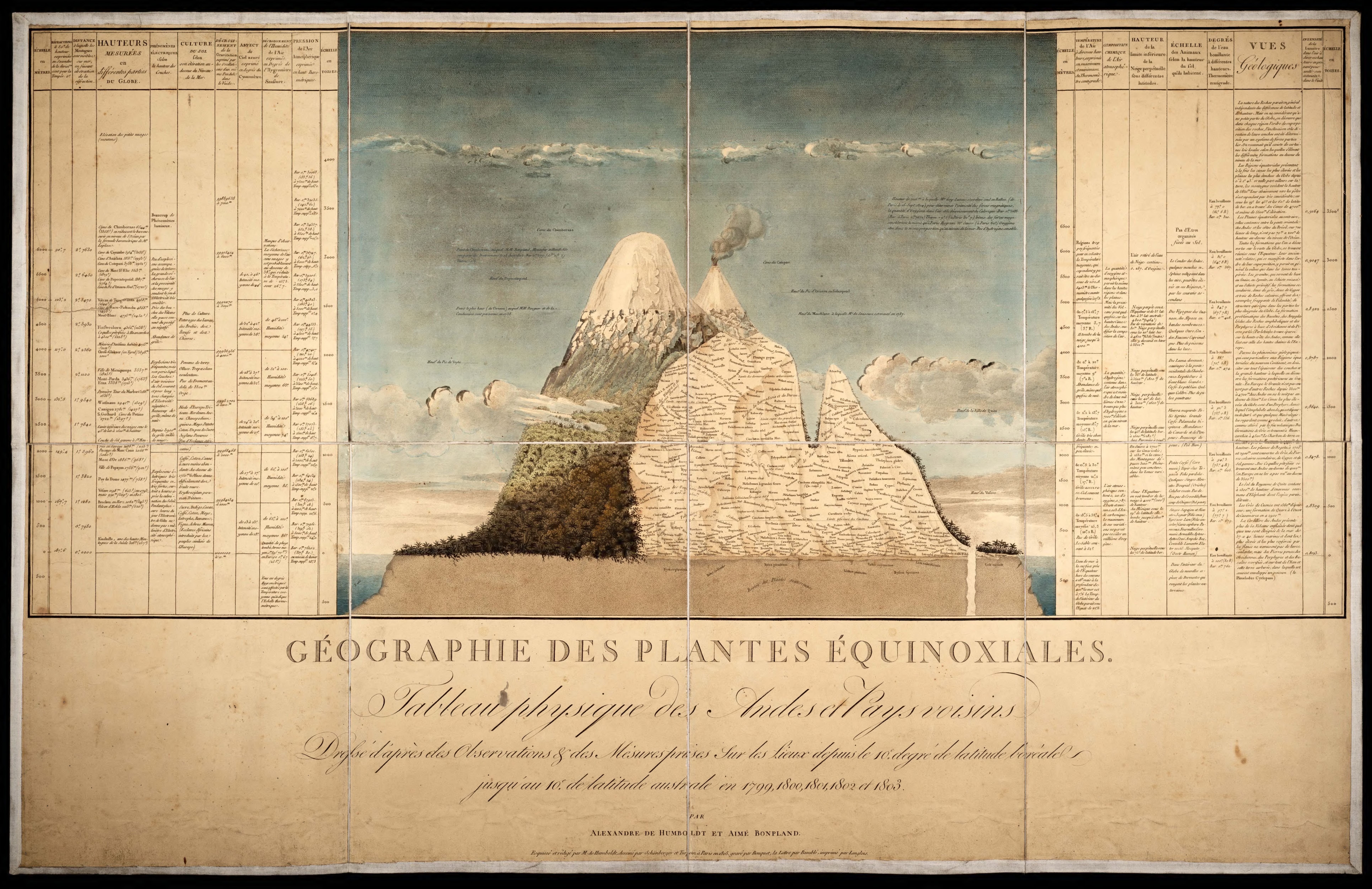Humboldt and Bonpland’s French plant-geography plate, with a mountain cutaway filled with plant names