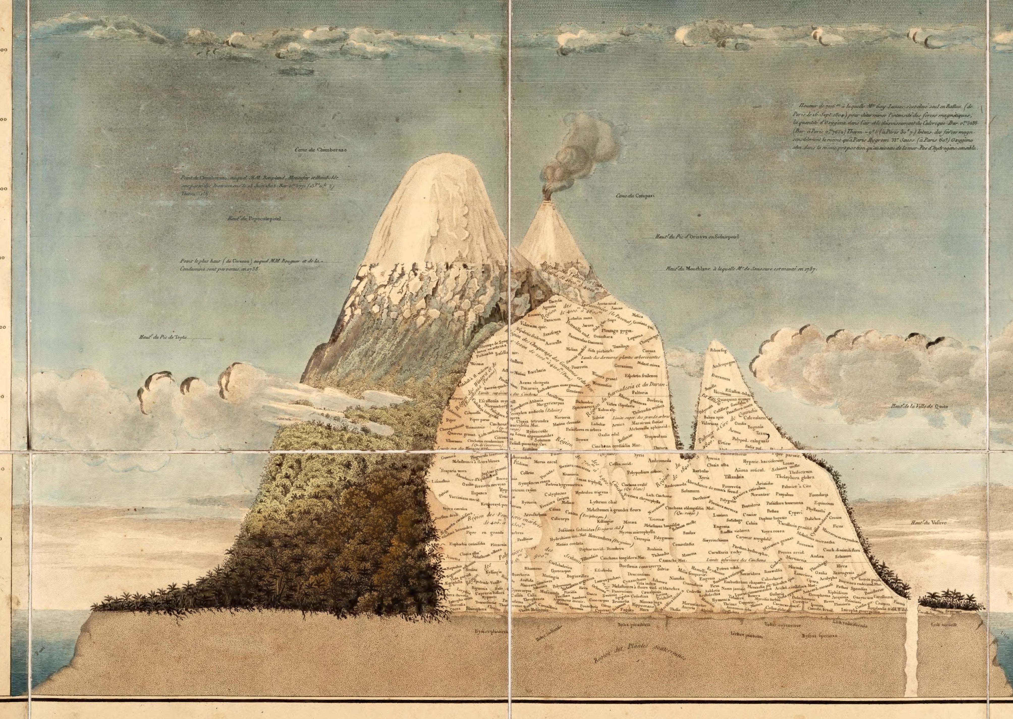 Humboldt and Bonpland’s French plant-geography plate, with a mountain cutaway filled with plant names