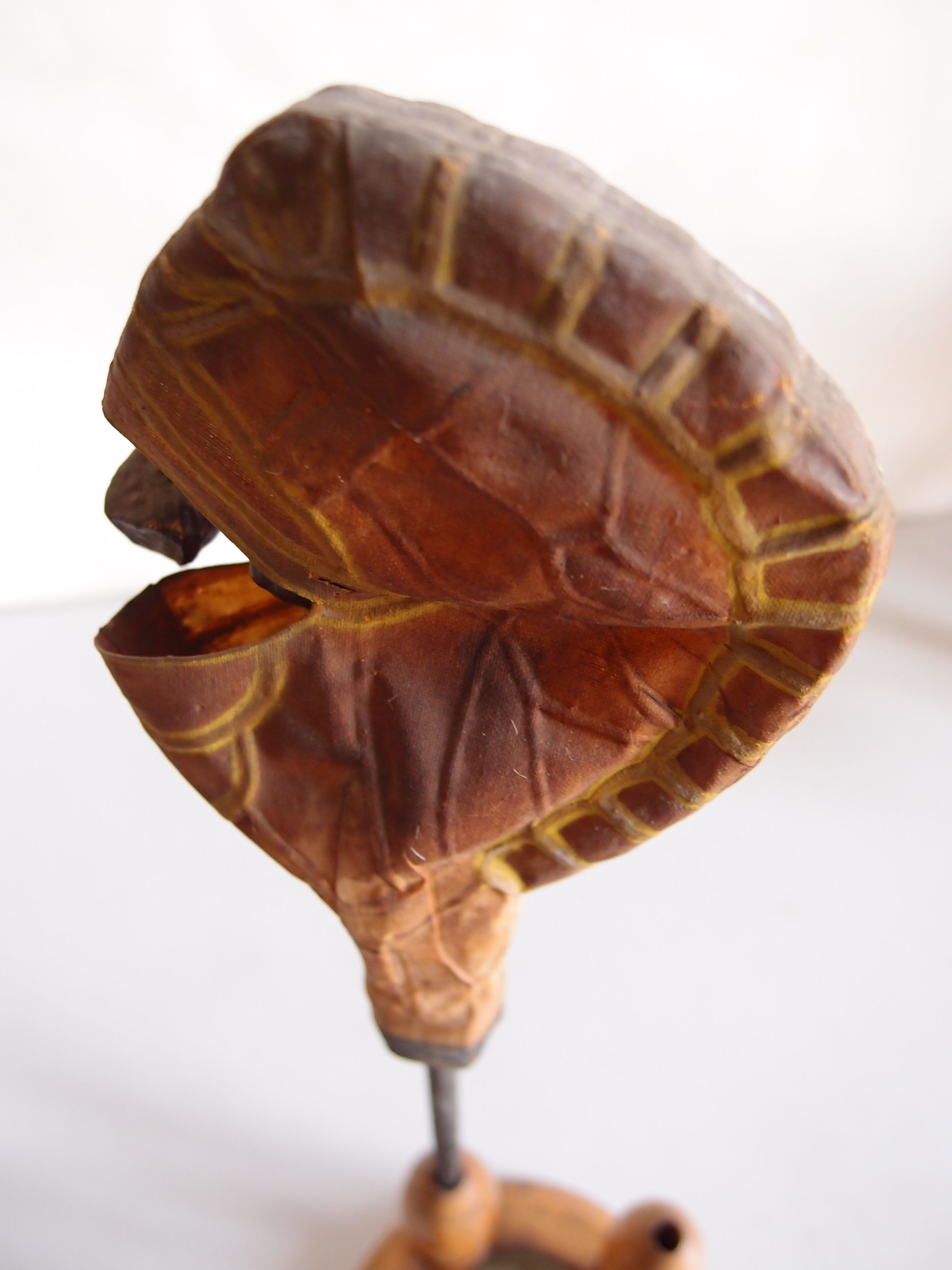 A brown translucent fern-sporangium model with a ribbed band around the outside.