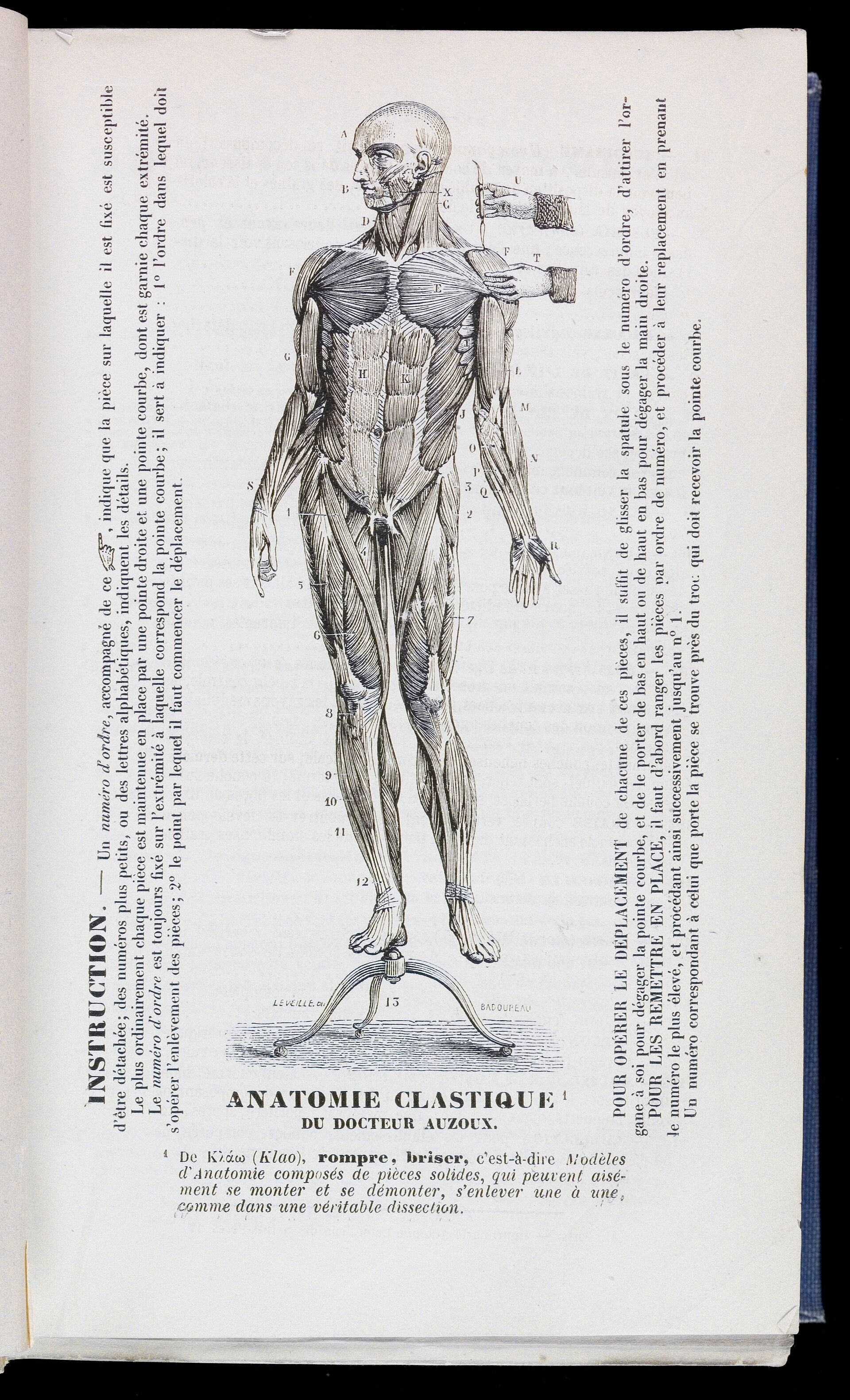 A nineteenth-century catalogue cover with an anatomical man and the words Anatomie clastique.