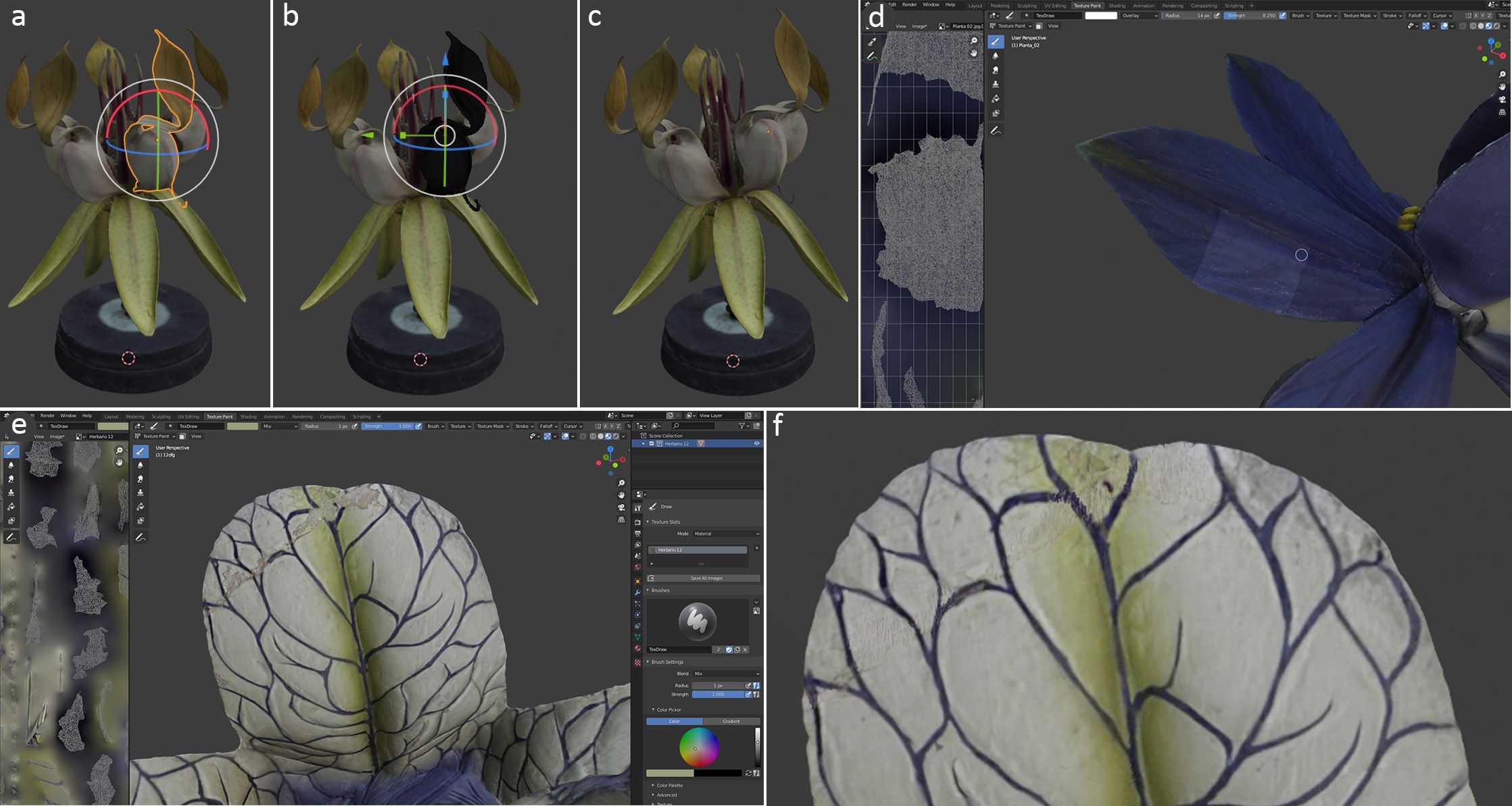Digital models of historic botanical objects used to test the positions of detachable parts and possible repairs.