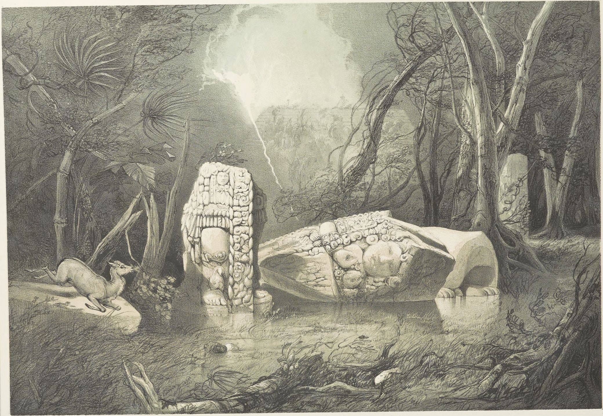 Warren's 1844 lithograph of the broken Copán monument with a deer in the foreground