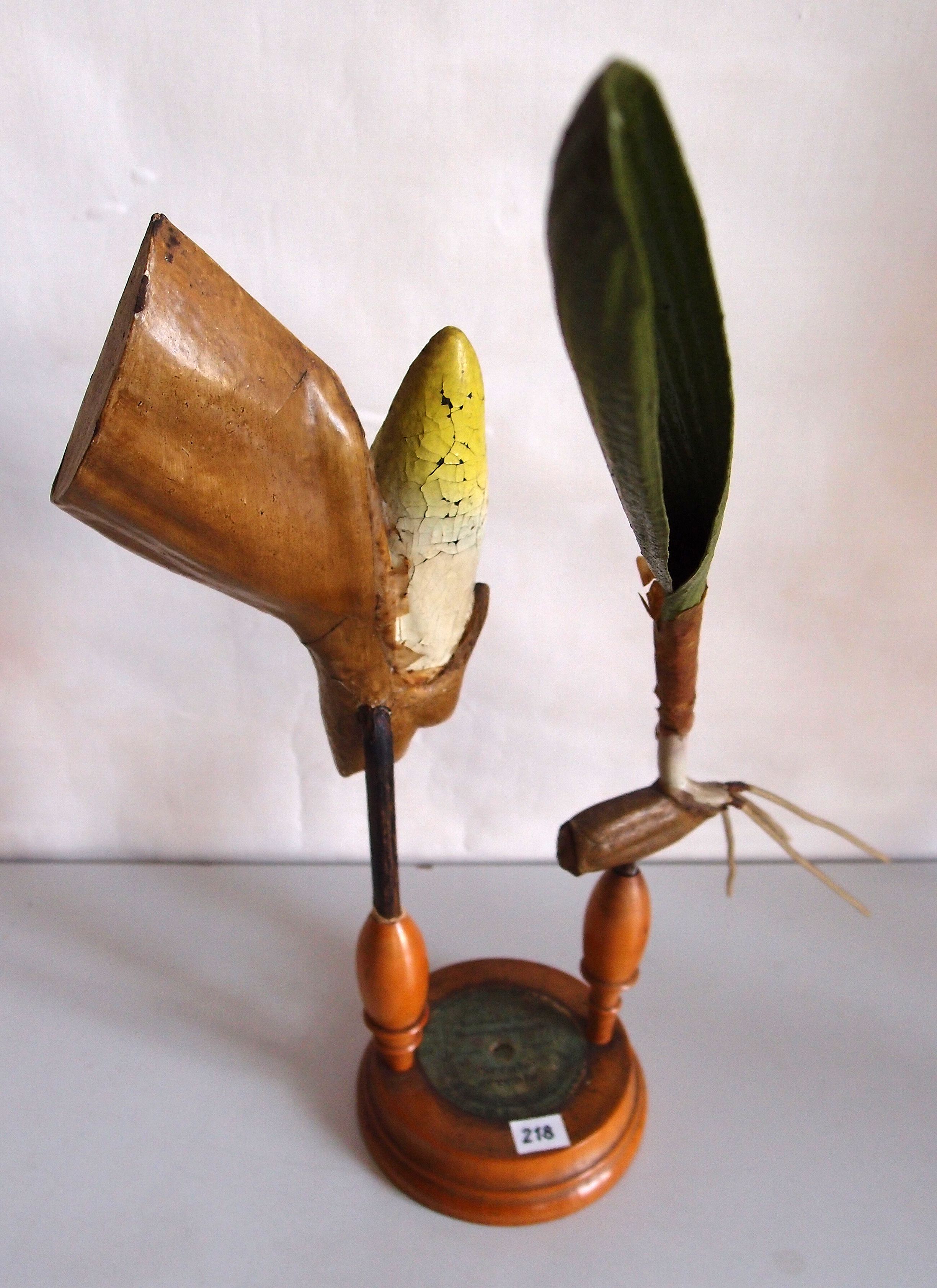 An enlarged model of a rye spikelet and a separately mounted section.
