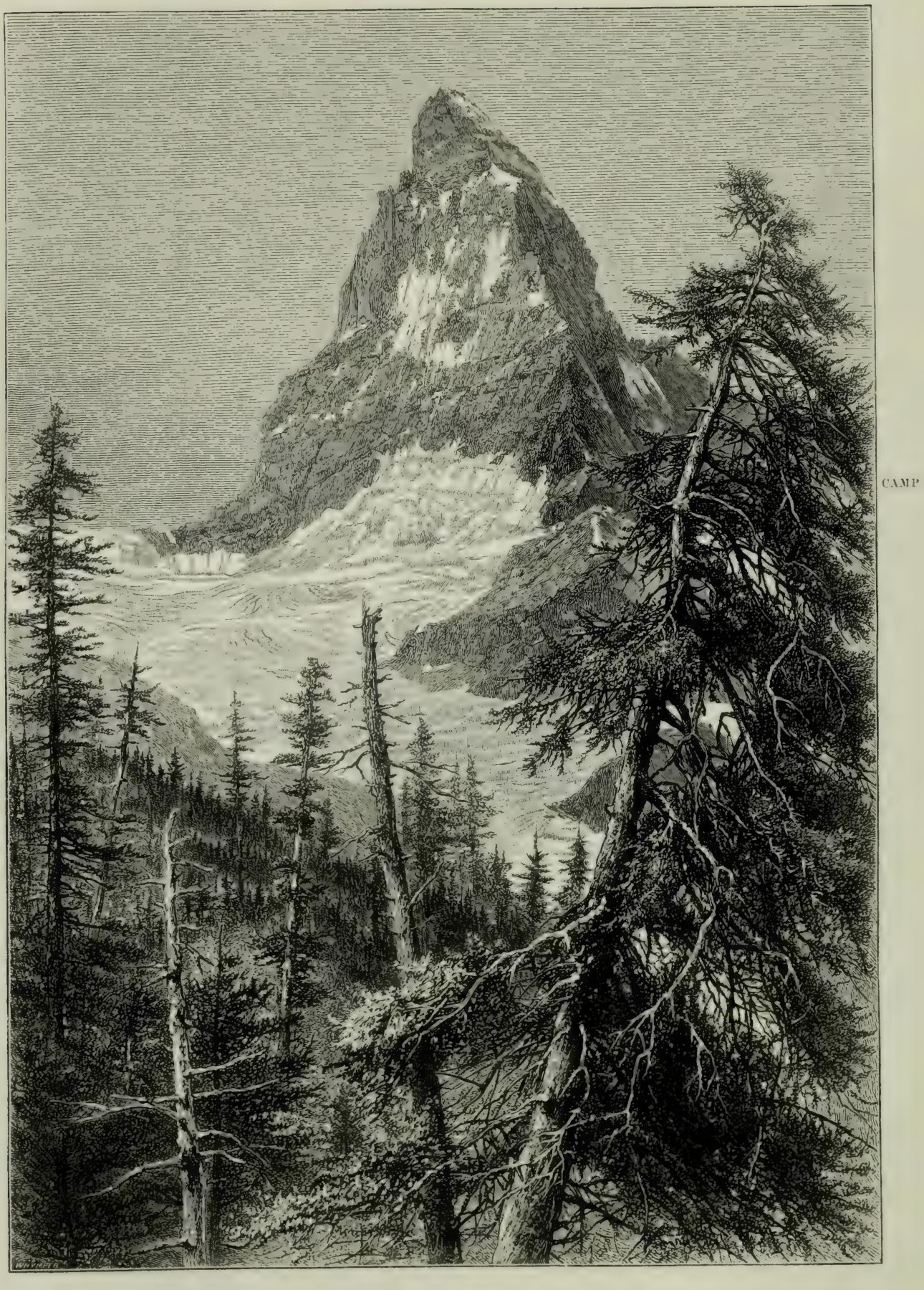 Whymper's engraved view of the Matterhorn above glaciers and larch trees