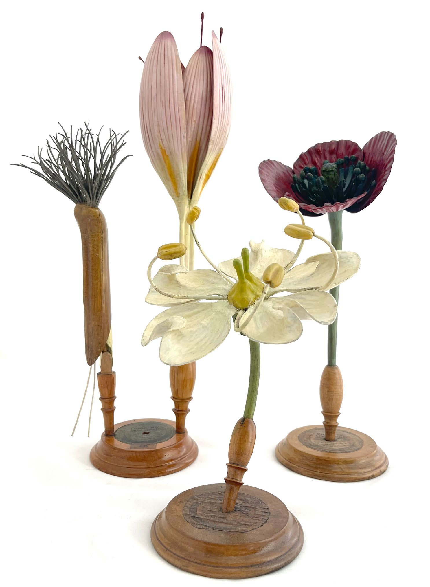 Three early Brendel botanical models on pale wooden stands, including a tall pink Colchicum flower.
