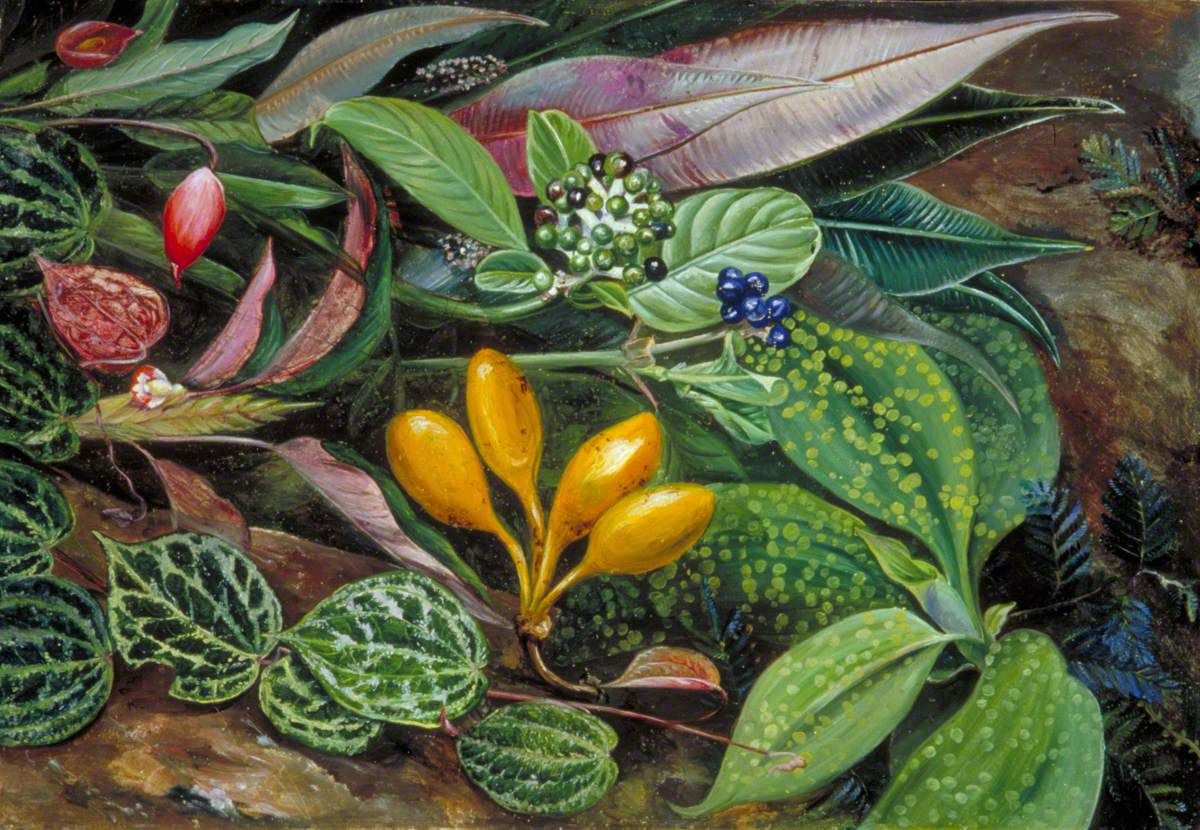 An arrangement of patterned leaves, yellow fruits, red plant parts and small bright blue berries.