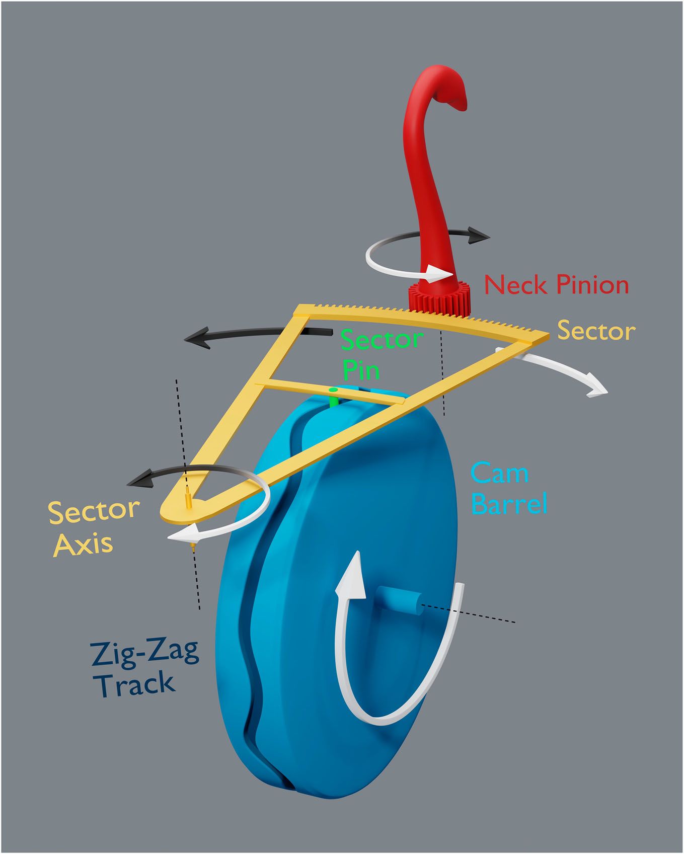 A labelled coloured diagram showing the cam barrel, zig-zag track, sector and neck pinion.