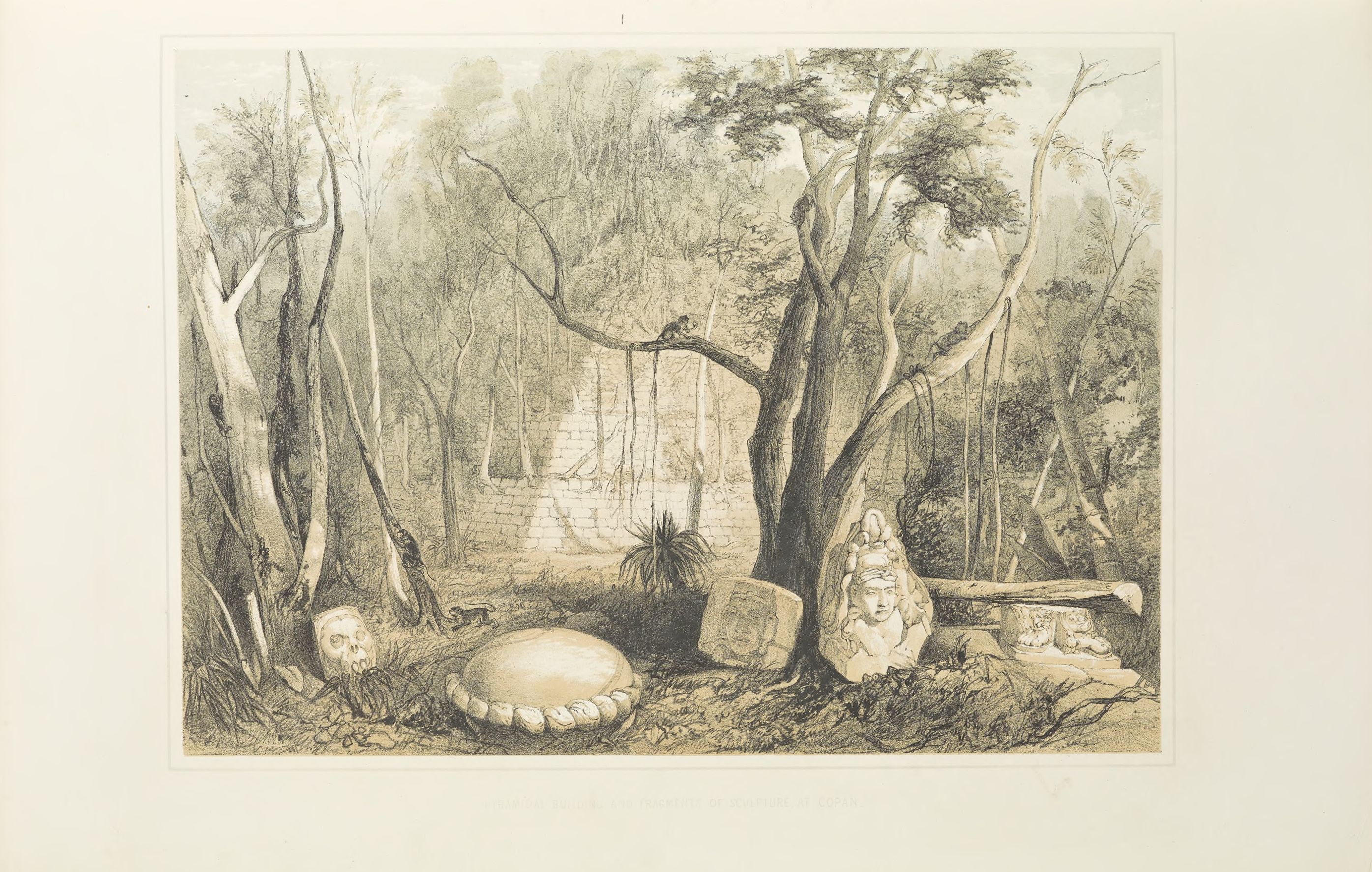Catherwood and Warren's lithograph of carved fragments before a forest-covered stepped mound at Copán