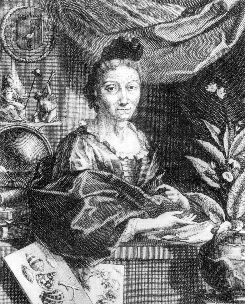 Merian seated at a table with books, specimens and flowers.