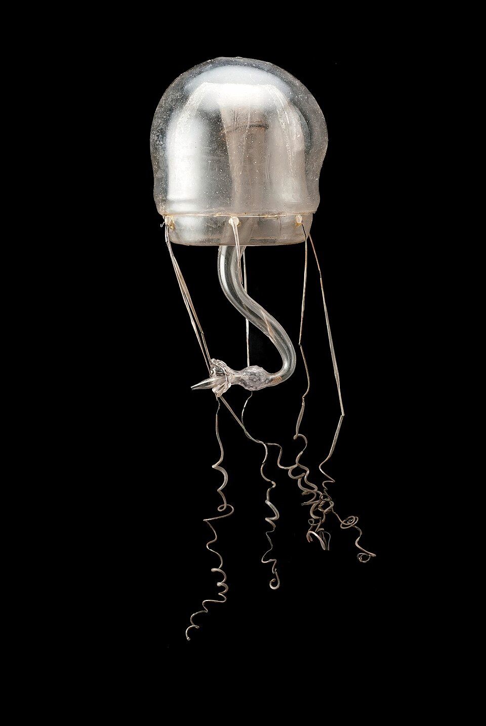 A small translucent glass jellyfish with a clear rounded bell and thin trailing tentacles against black.
