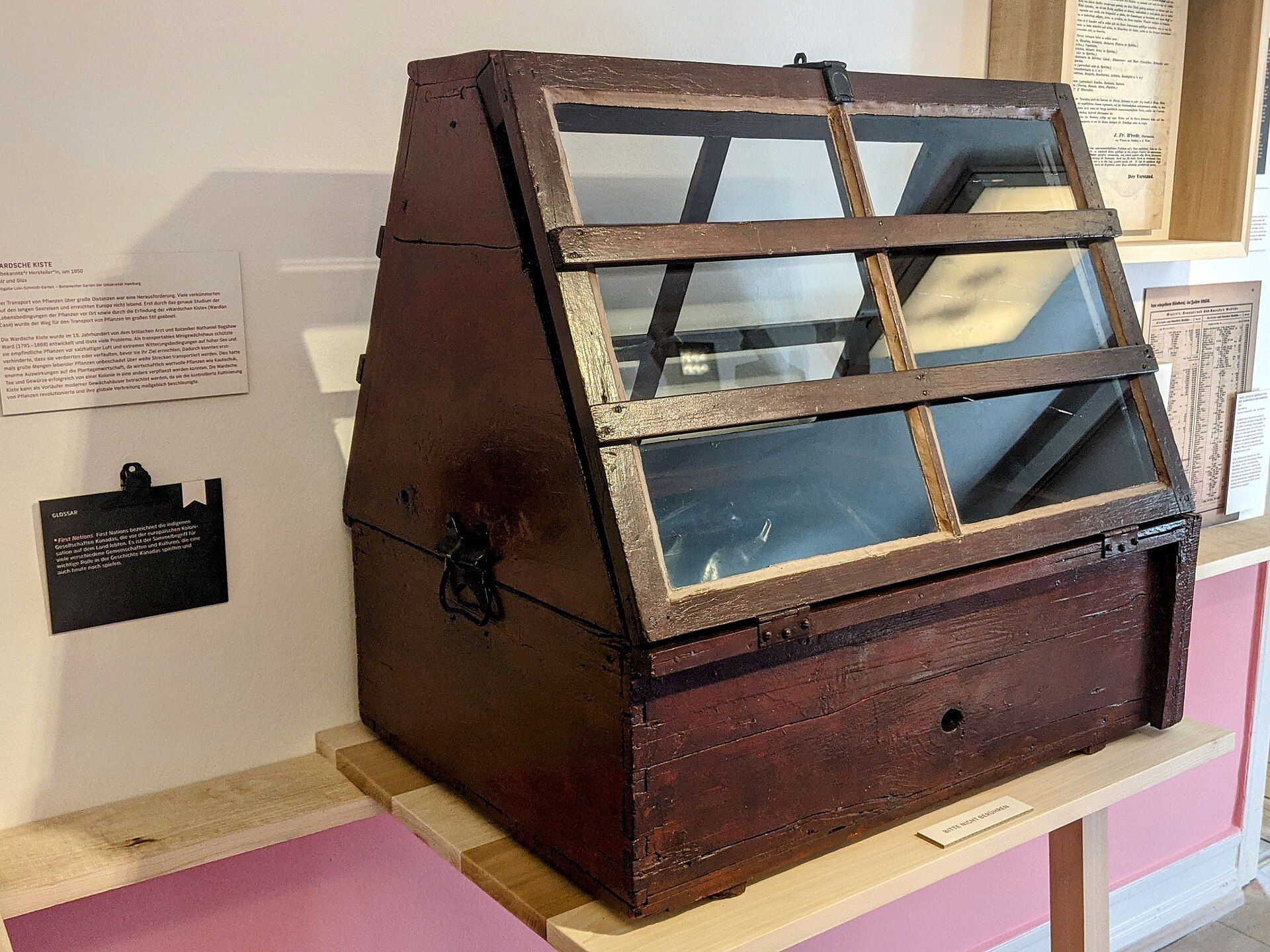 An empty wooden Wardian travelling case with its glass upper cover displayed in a museum.