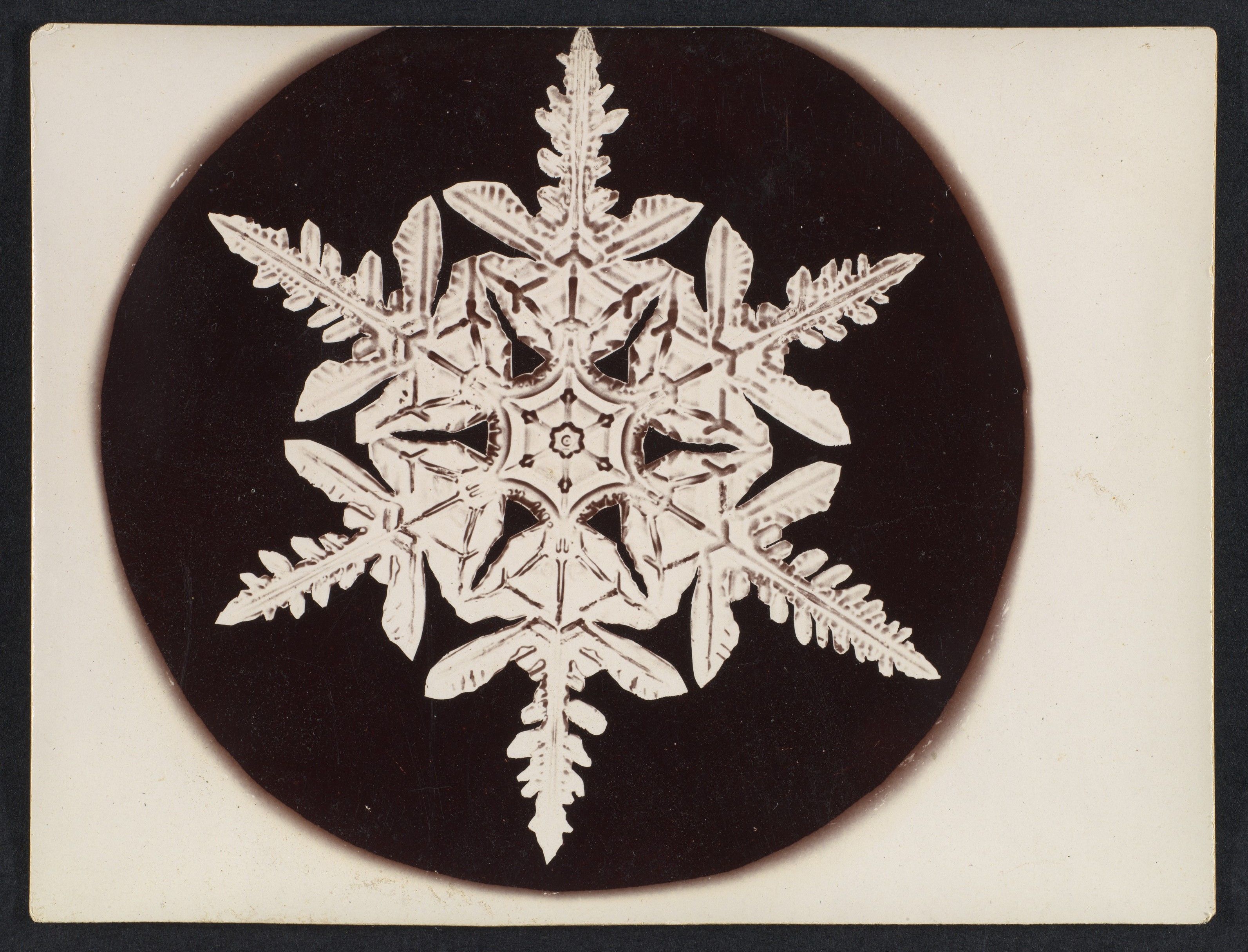 A pale six-branched snow crystal with intricate internal lines, surrounded by a dark circular field.
