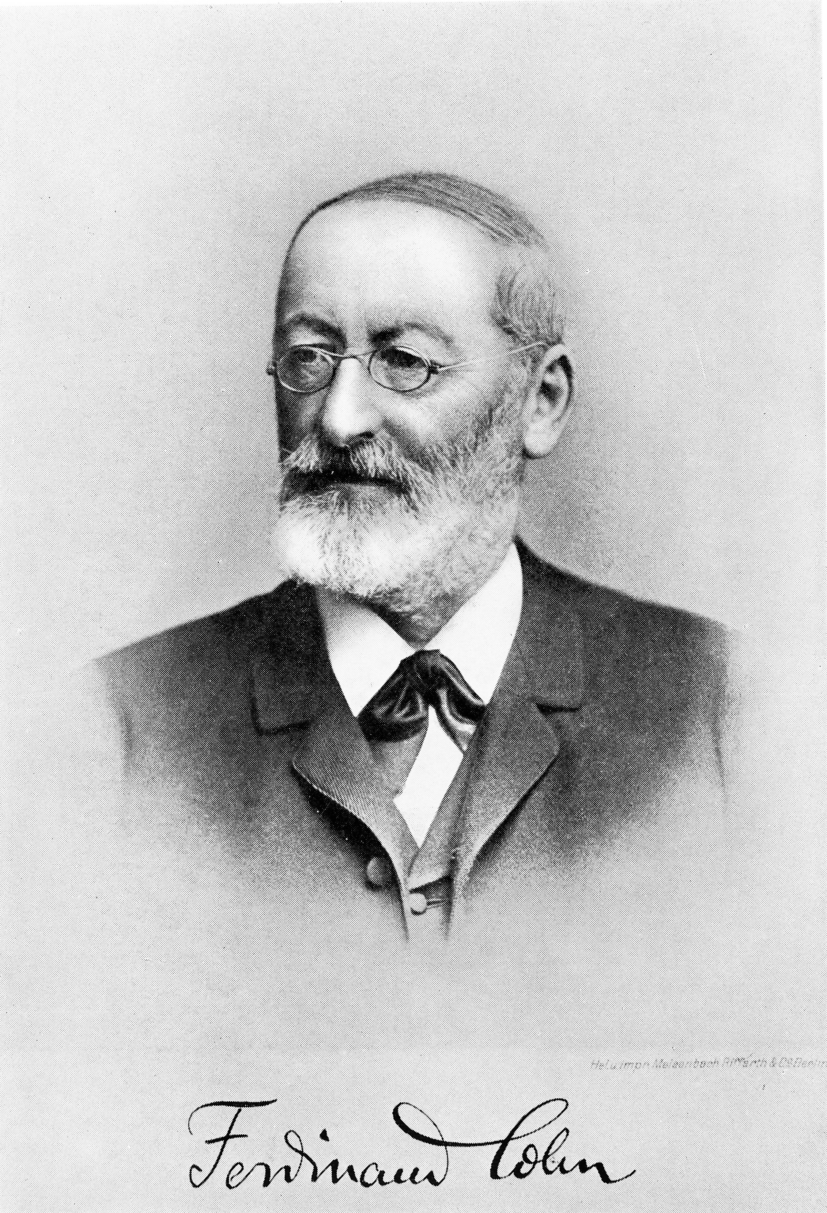 Portrait of Ferdinand Julius Cohn, with a white beard and dark coat.