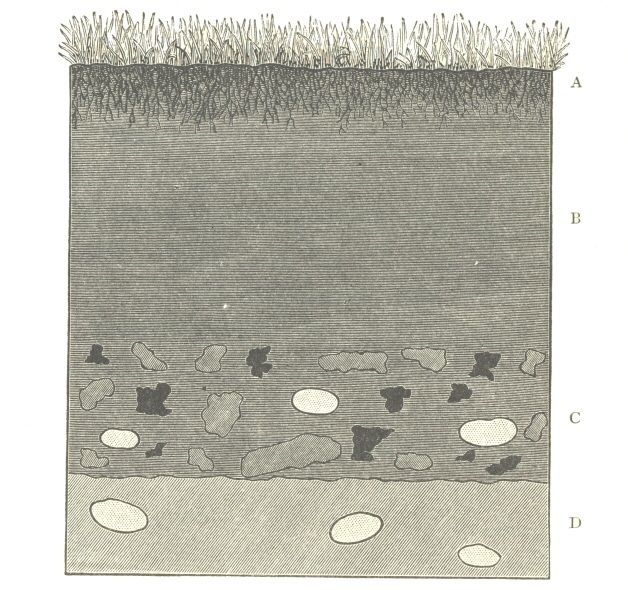 A field section showing turf, a layer of fine earth and a lower band containing marl fragments, cinders and pebbles