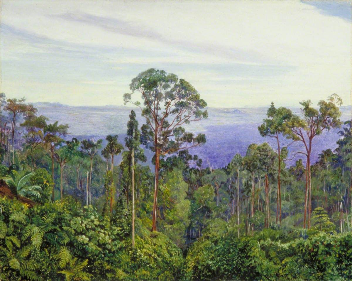 Tall forest trees overlooking a broad blue expanse of swamp and distant hills.