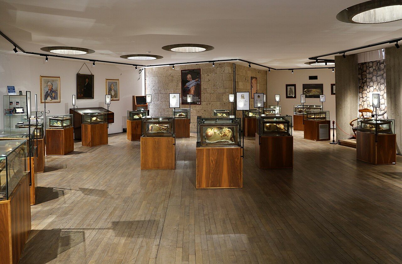 A bright museum room containing rows of glass-covered wooden stands with anatomical wax models.