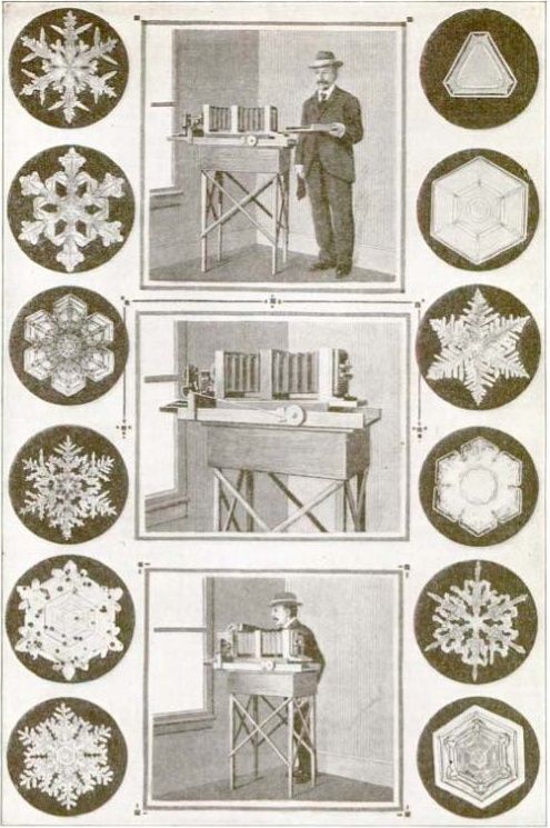 Three contemporary illustrations of Bentley holding the collecting board, the camera with its focusing cord, and Bentley inserting a slide.