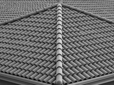 Close-up of a tiled roof ridge with capping tiles — roofing case study