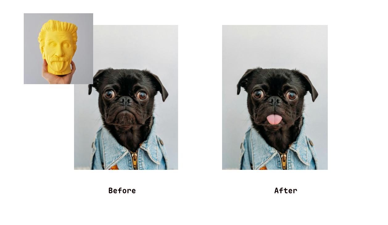 Change pet‘s expression