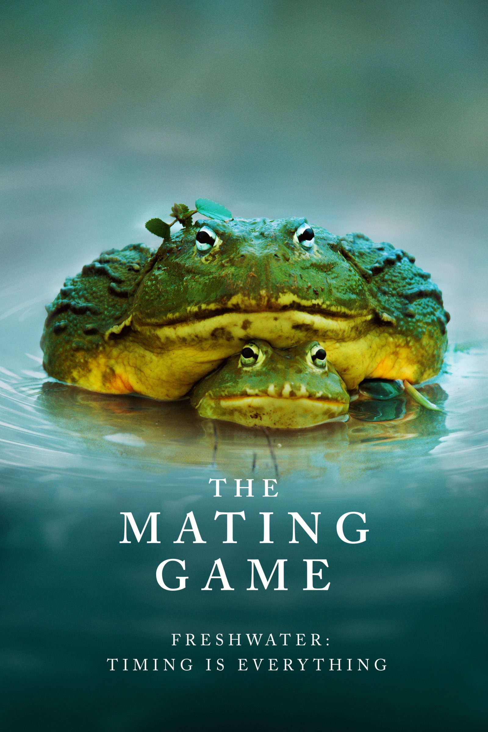 The Mating Game