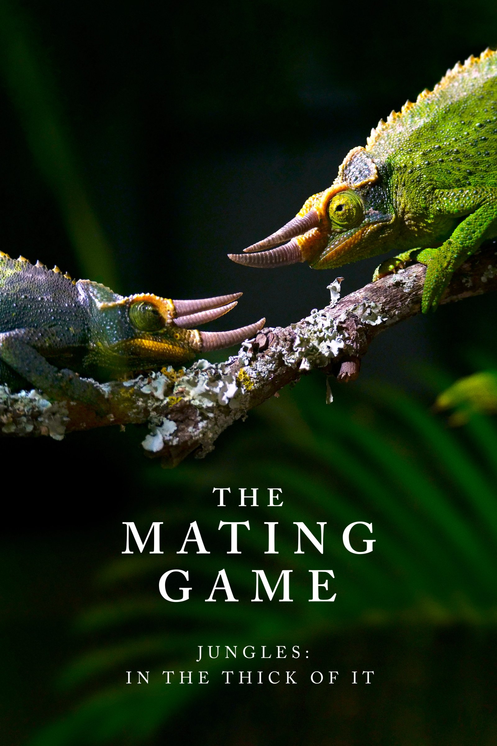 The Mating Game