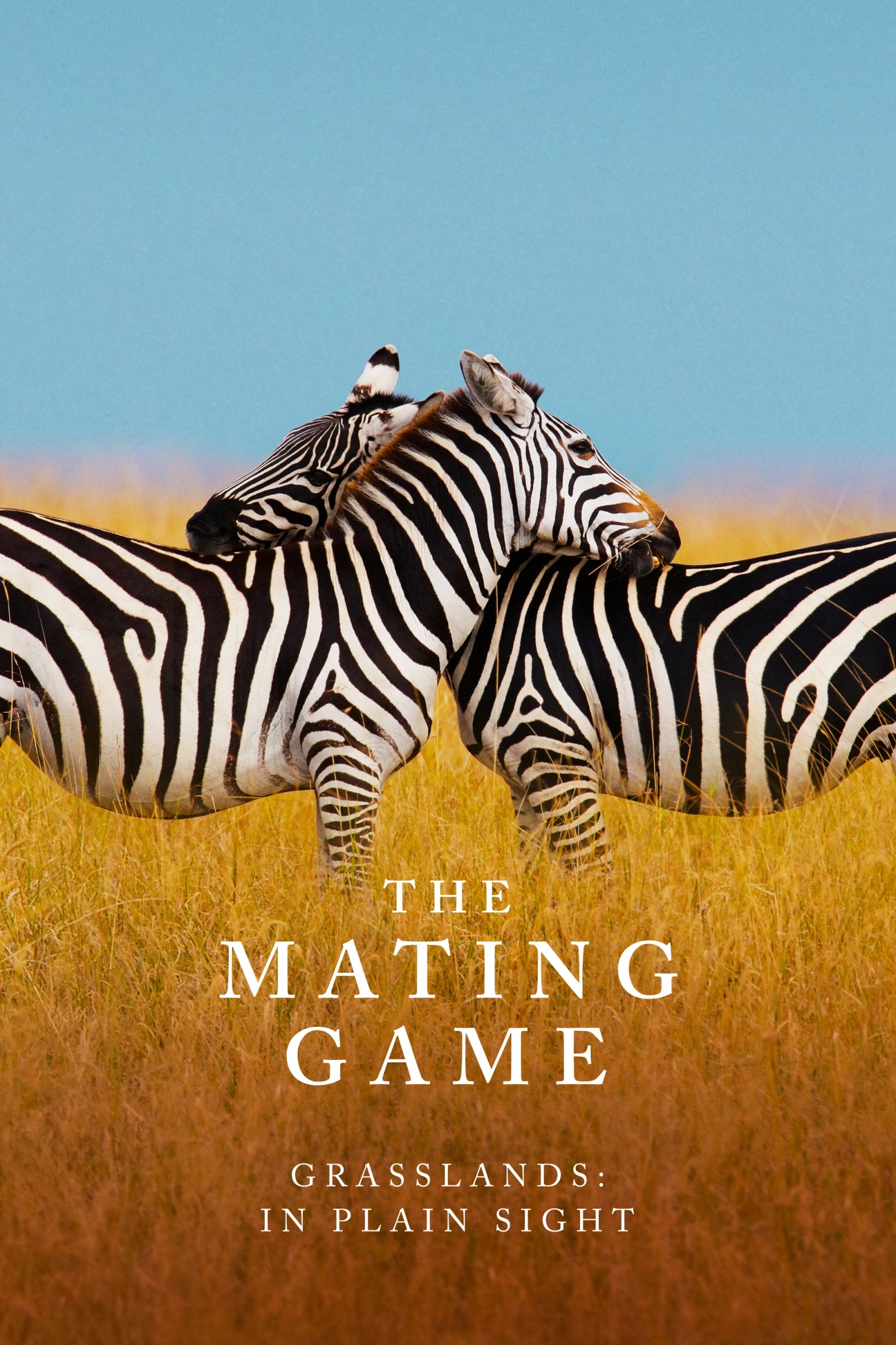 The Mating Game
