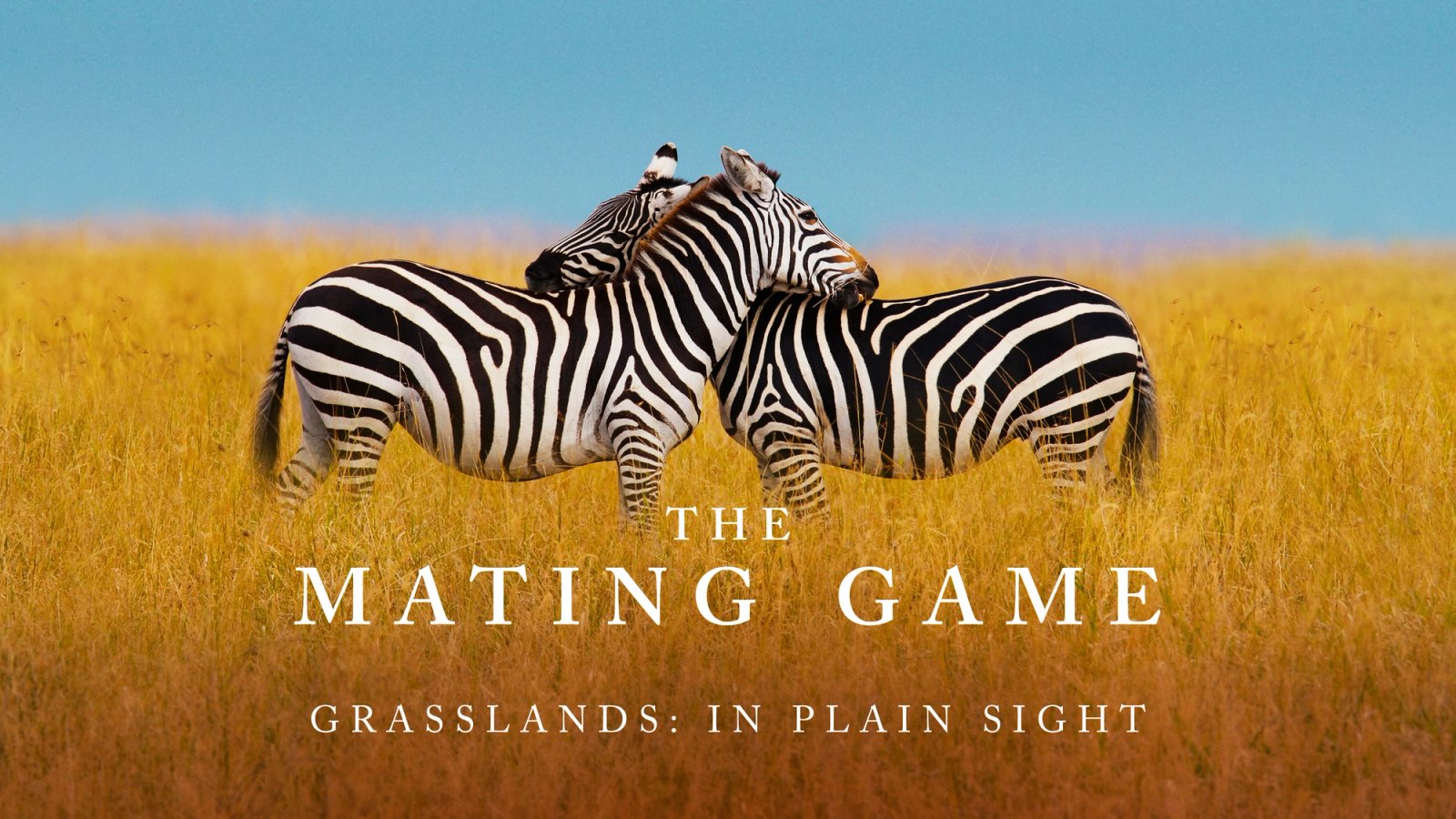 The Mating Game
