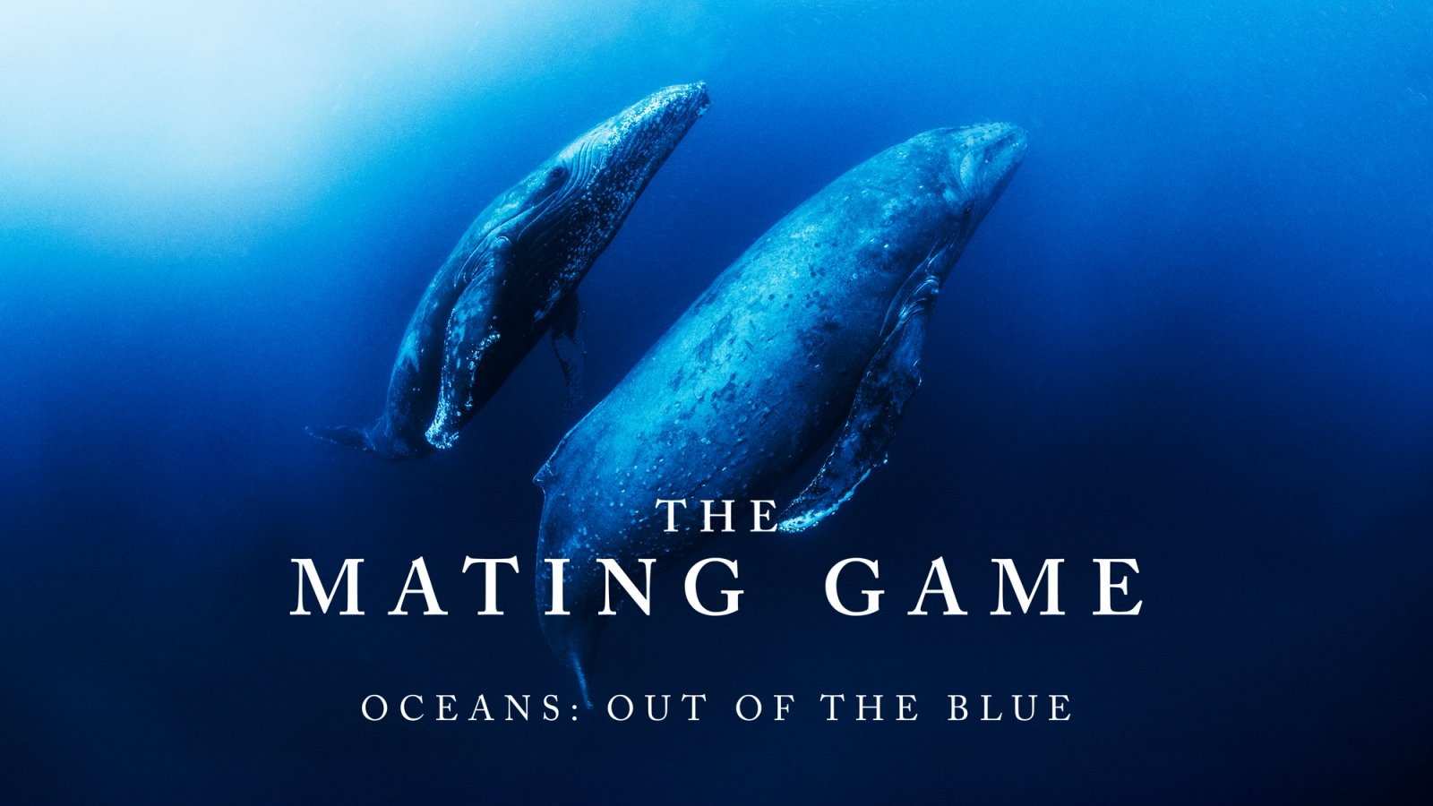 The Mating Game
