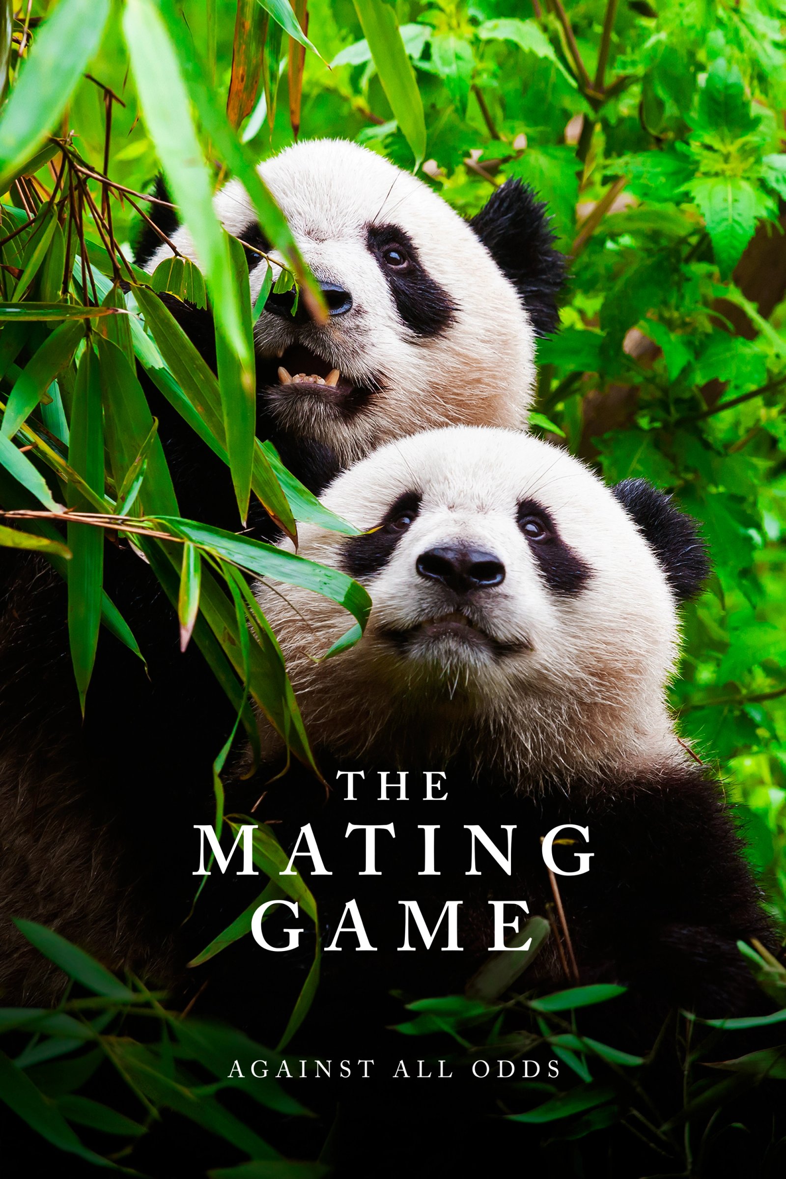 The Mating Game