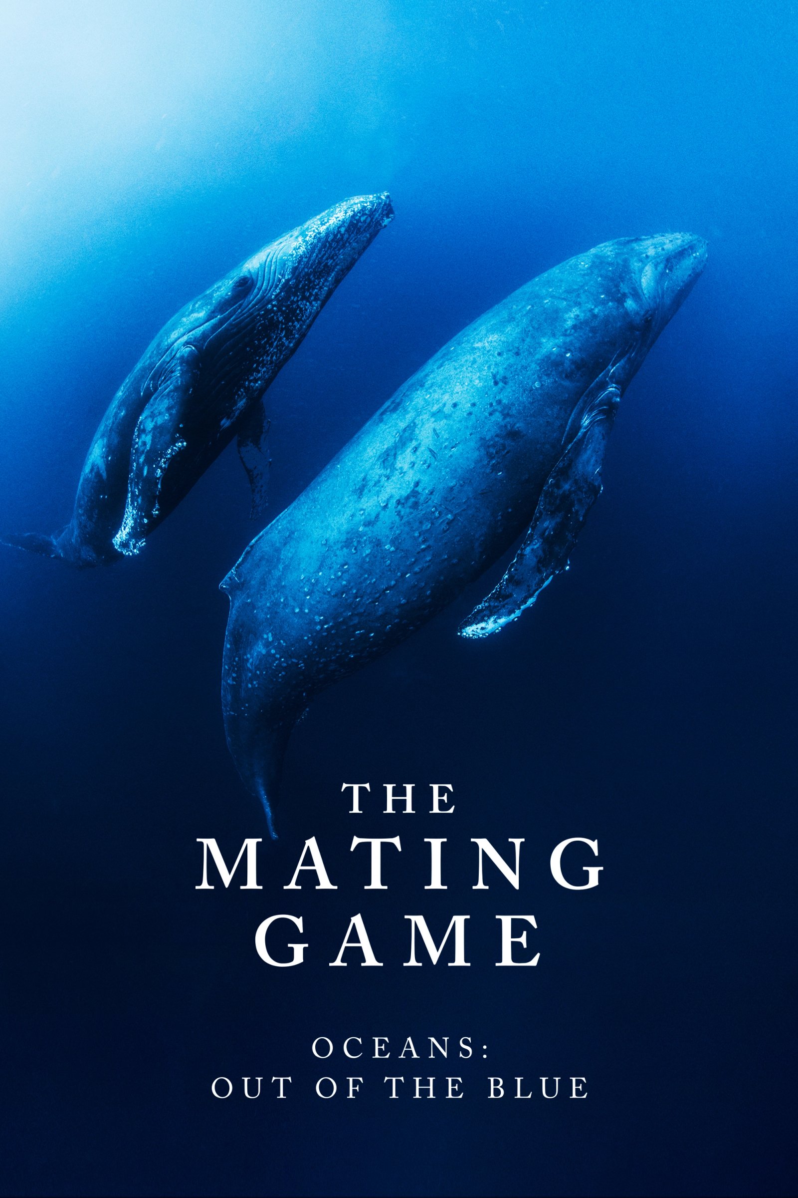 The Mating Game