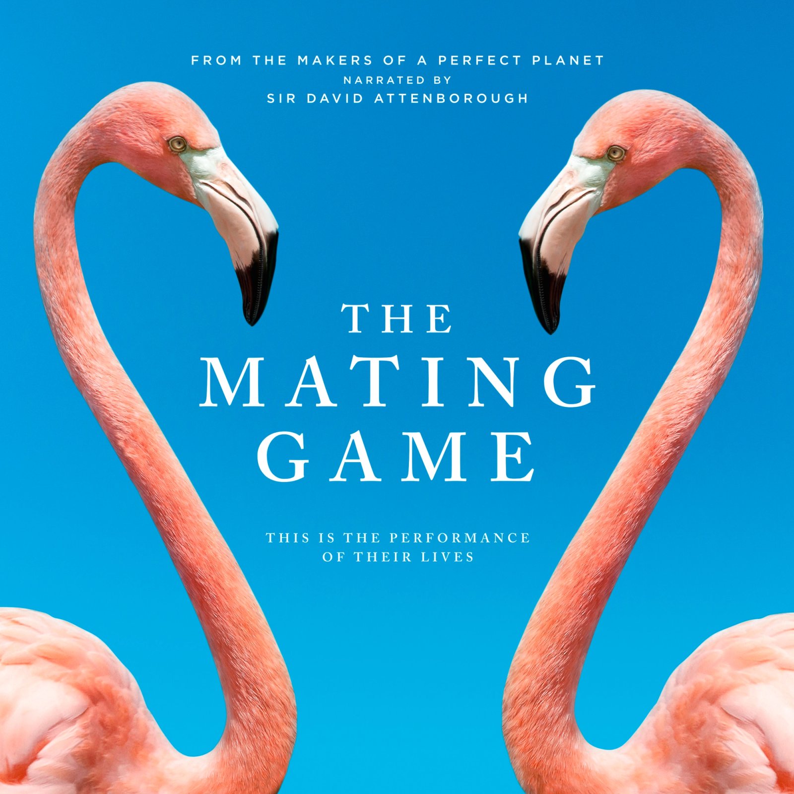 The Mating Game