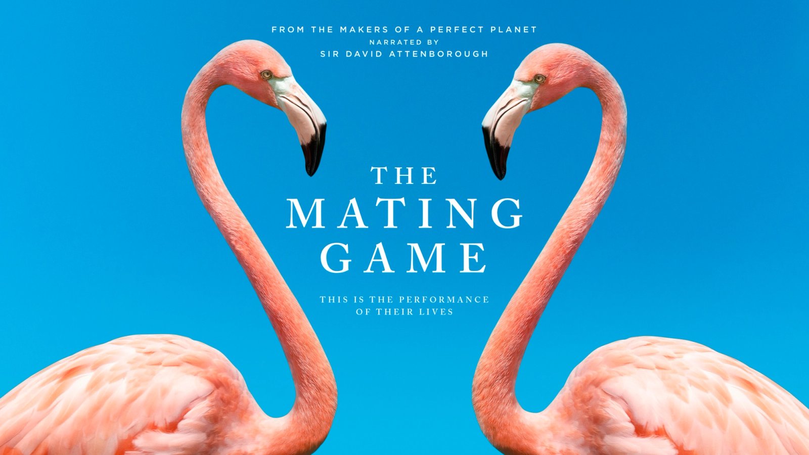 The Mating Game