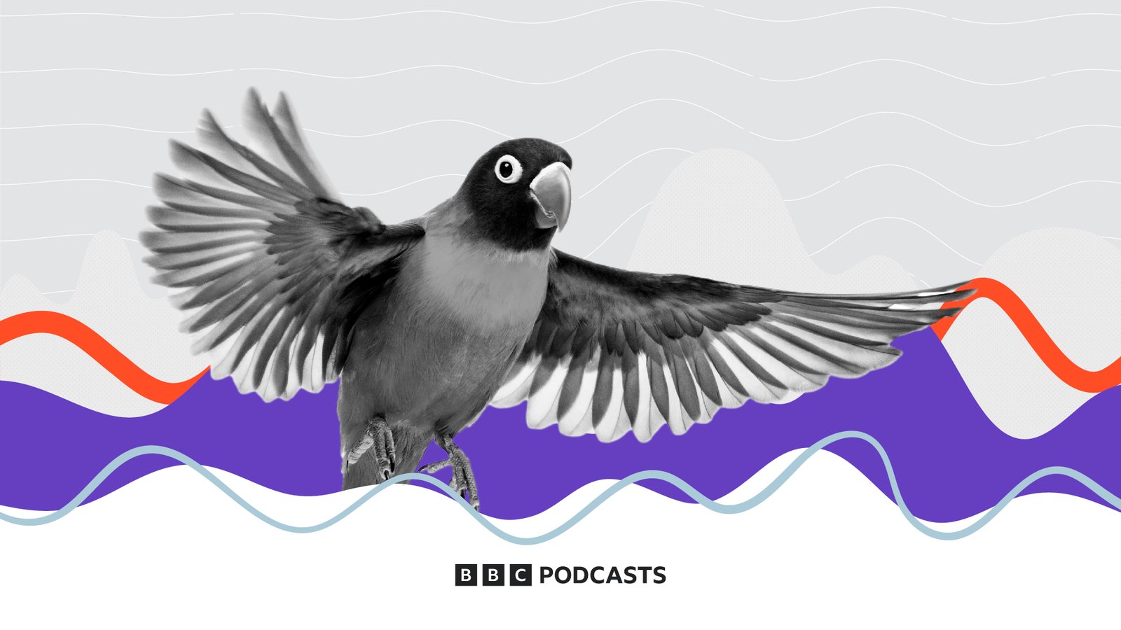 BBC Podcasts