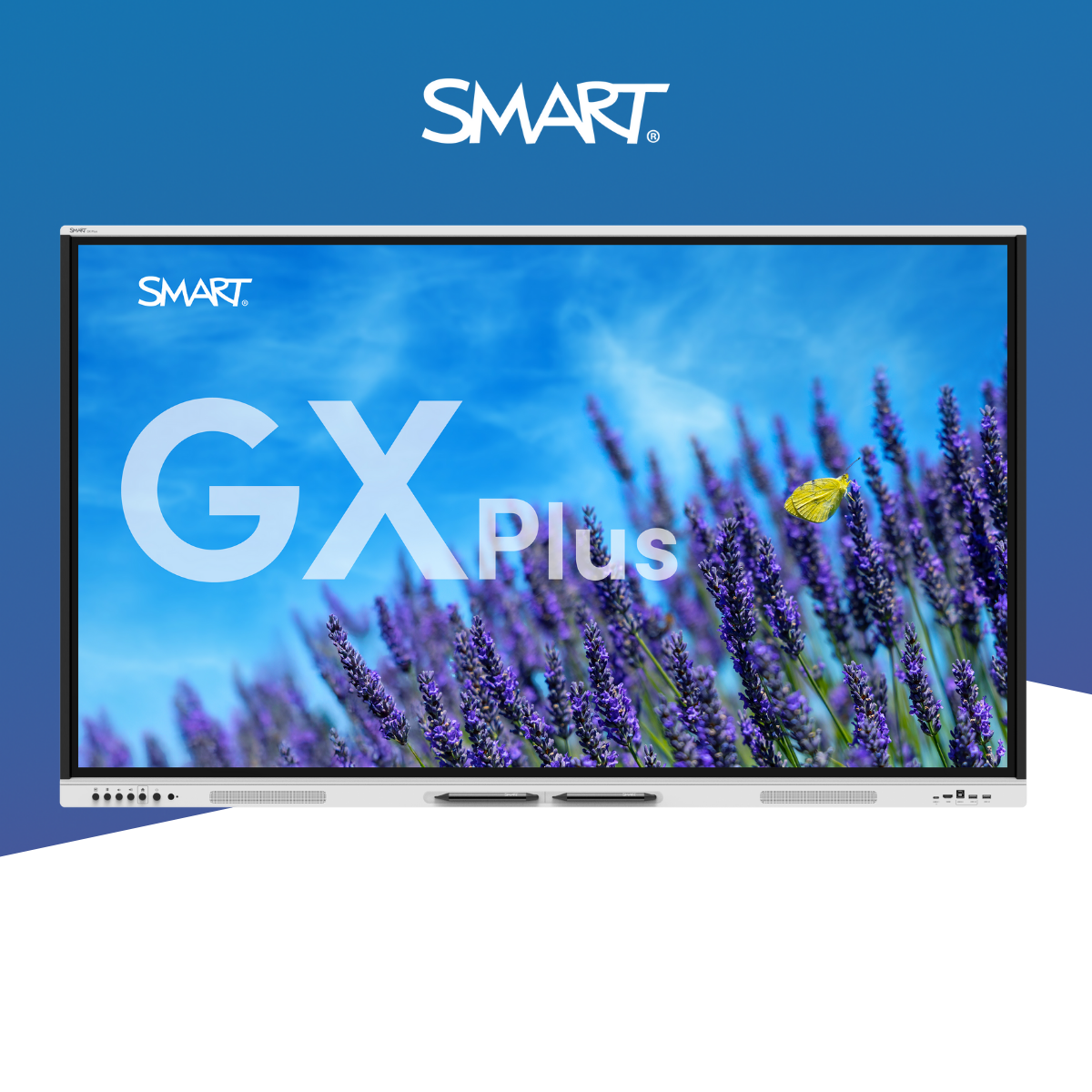 Large Touch Screen with image of lavender