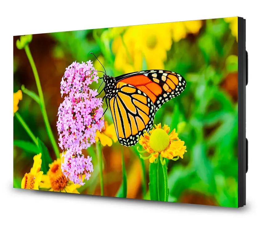 Video Display with little visible bezel with an image of a butterfly on a flower