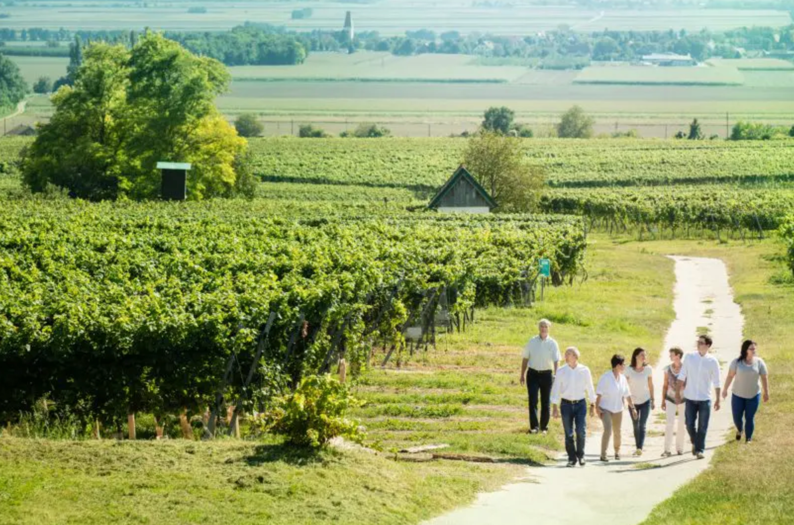 Austrian Wine Class!