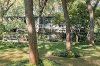 The lush canopy of the Lafayette Park neighborhood