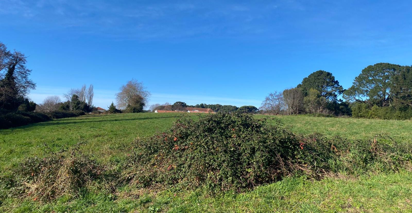 Terrain de Latchague à Anglet, une terre marachère