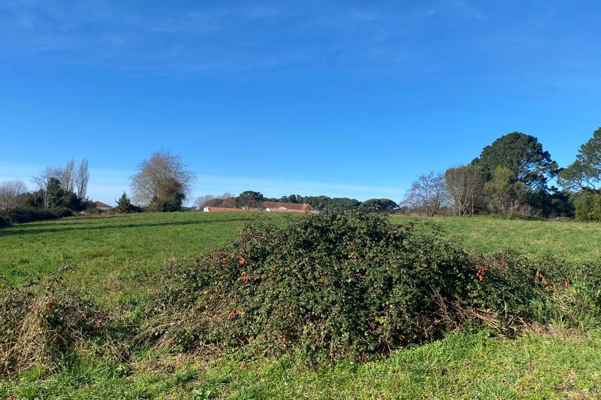 Terrain de Latchague à Anglet, une terre marachère