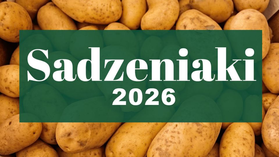 Oferta sadzeniaków oferowana przez firmę Agrosad na rok 2026