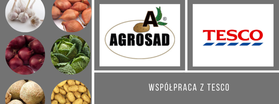 Rozszerzamy rynek zbytu