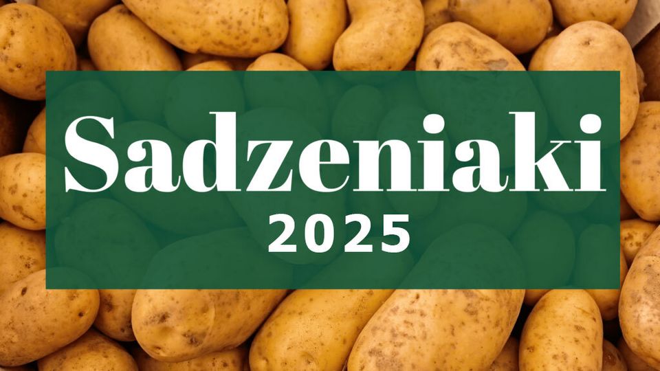 Oferta sadzeniaków oferowana przez firmę Agrosad na rok 2025