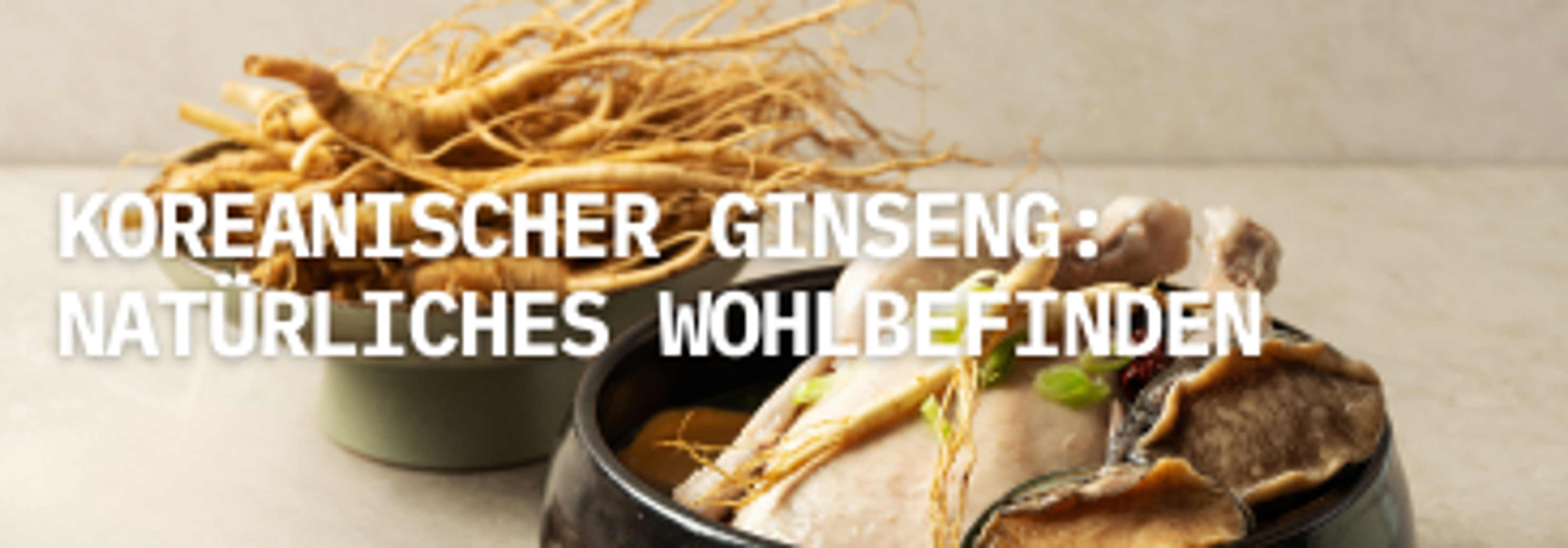 Koreanischer Ginseng: Natürliches Wohlbefinden