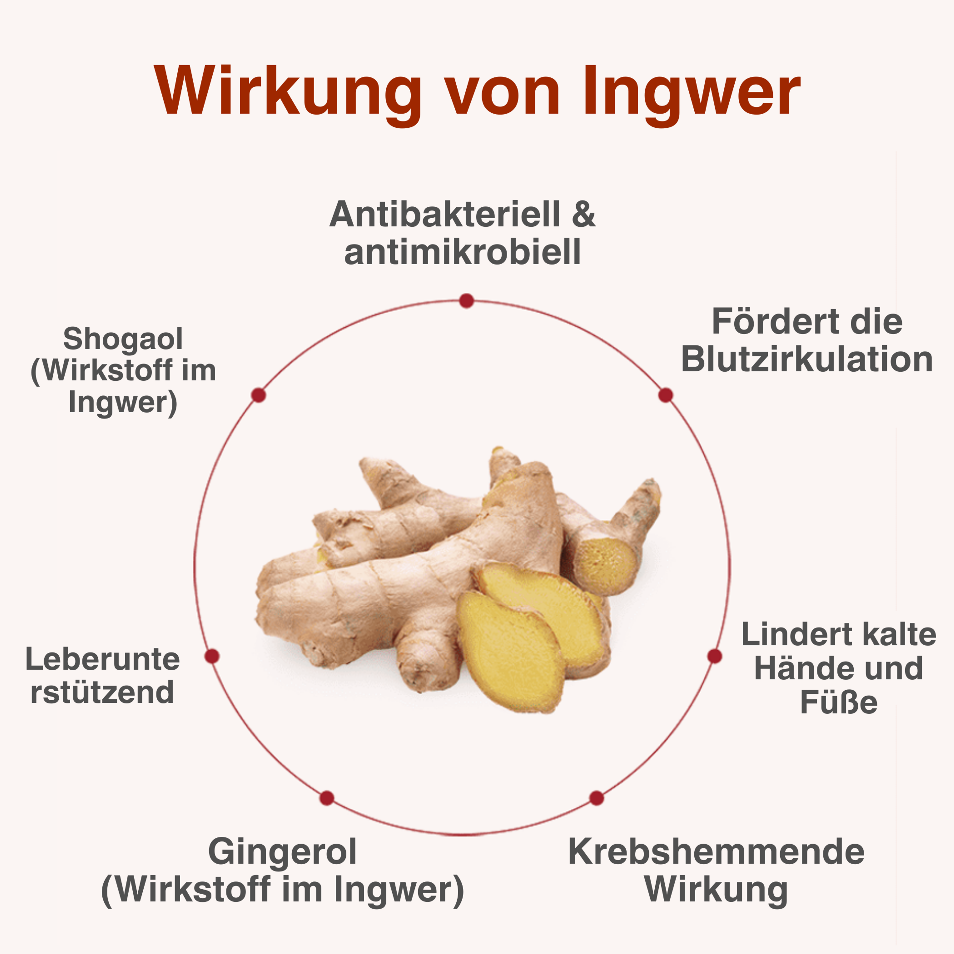 CHARMDEN Jujube Ginger Tea 100ml – Warming Date & Ginger Tea