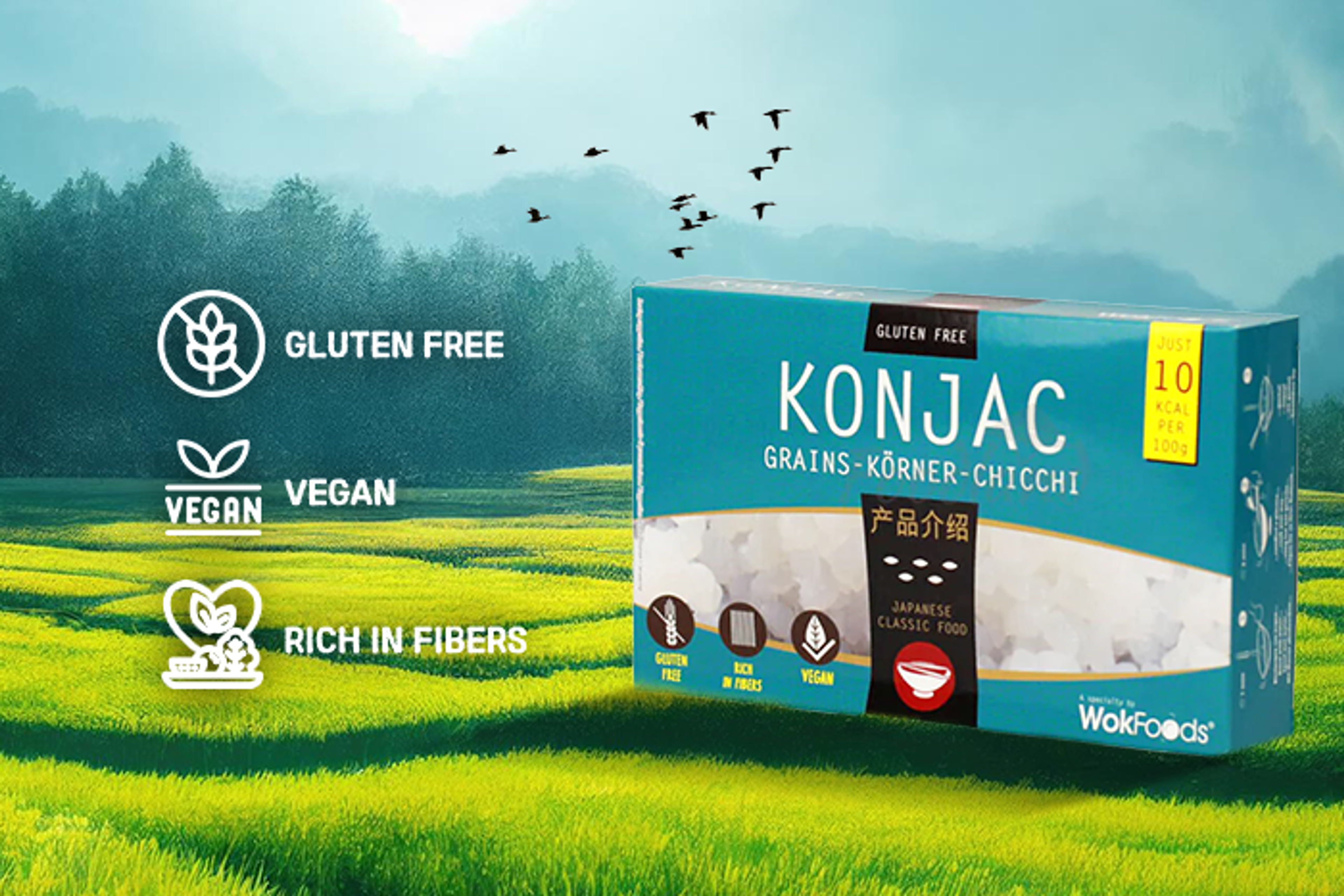 Wok Foods Shirataki Konjac Grains Körner Chicchi 350g - Einfach zuzubereiten: nur abspülen, kochen oder braten