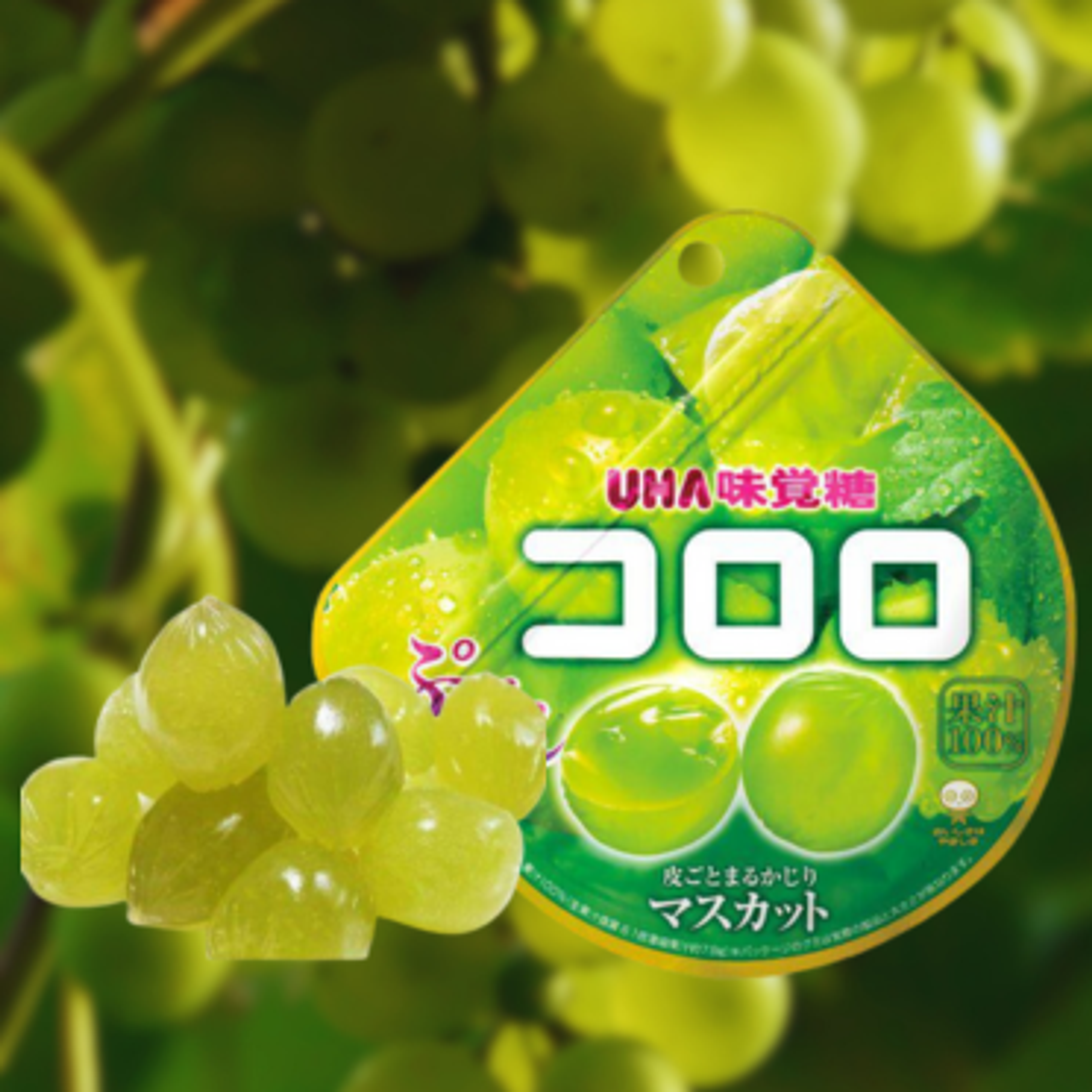 UHA Mikakuto Kororo White Muscat Gummy Candy 48g - Fruity and Chewy Gummy Candies